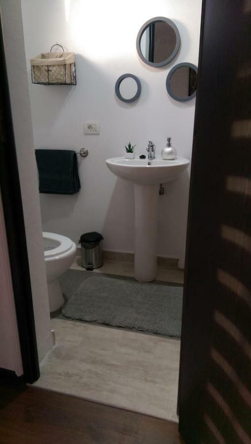 Pensiunea Timis Borşa Εξωτερικό φωτογραφία